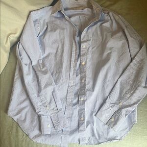 Everlane Blue Pinstripe Dress Shirt